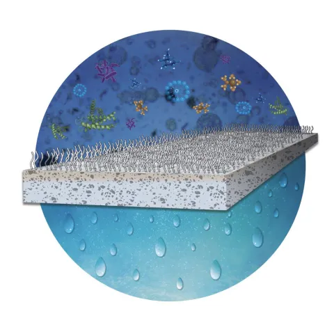 Image of membrane from Mostafa Nassr's presentation Image of membrane from Mostafa Nassr's presentation