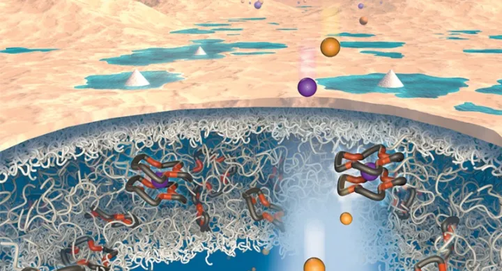PNAS Lithium Extraction image PNAS Lithium Extraction image