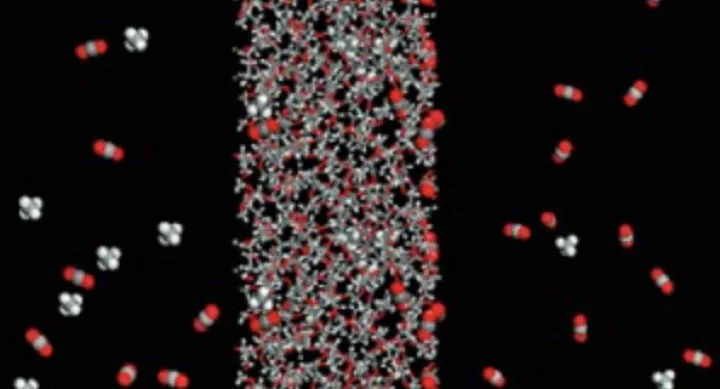 Image of solubility-selective polymer membrane Image of solubility-selective polymer membrane