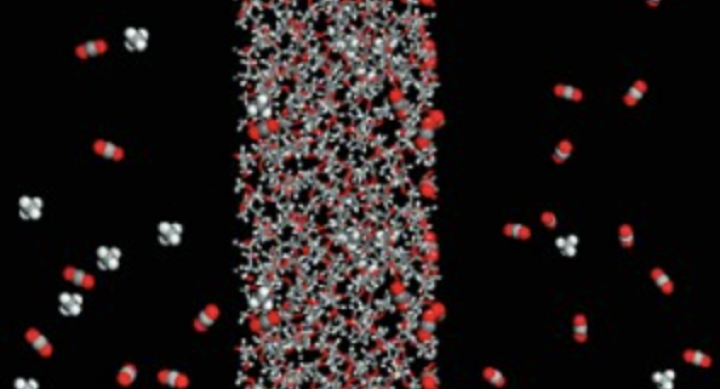 Image of solubility-selective polymer membrane Image of solubility-selective polymer membrane