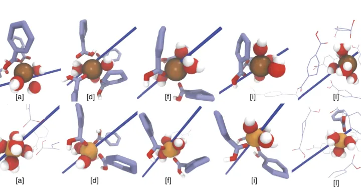 Image of Fig. 6c, Molecular snapshots of K+ and Mg2+ Image of Fig. 6c, Molecular snapshots of K+ and Mg2+