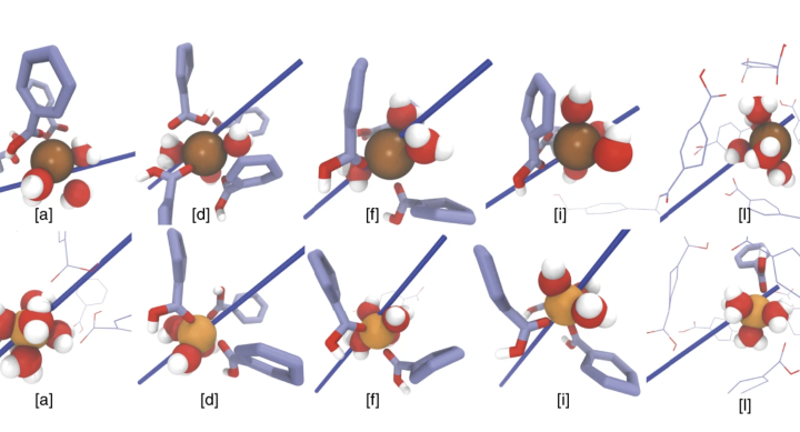 Image of Fig. 6c, Molecular snapshots of K+ and Mg2+ Image of Fig. 6c, Molecular snapshots of K+ and Mg2+